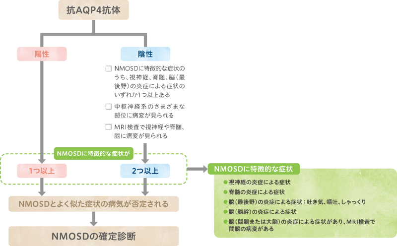 NMOSDの診断のために、抗AQP4抗体検査や、NMOSDの特徴的な症状があるか、他の疾患の可能性があるかどうか検査を行い、その結果を総合的に判断して診断します。